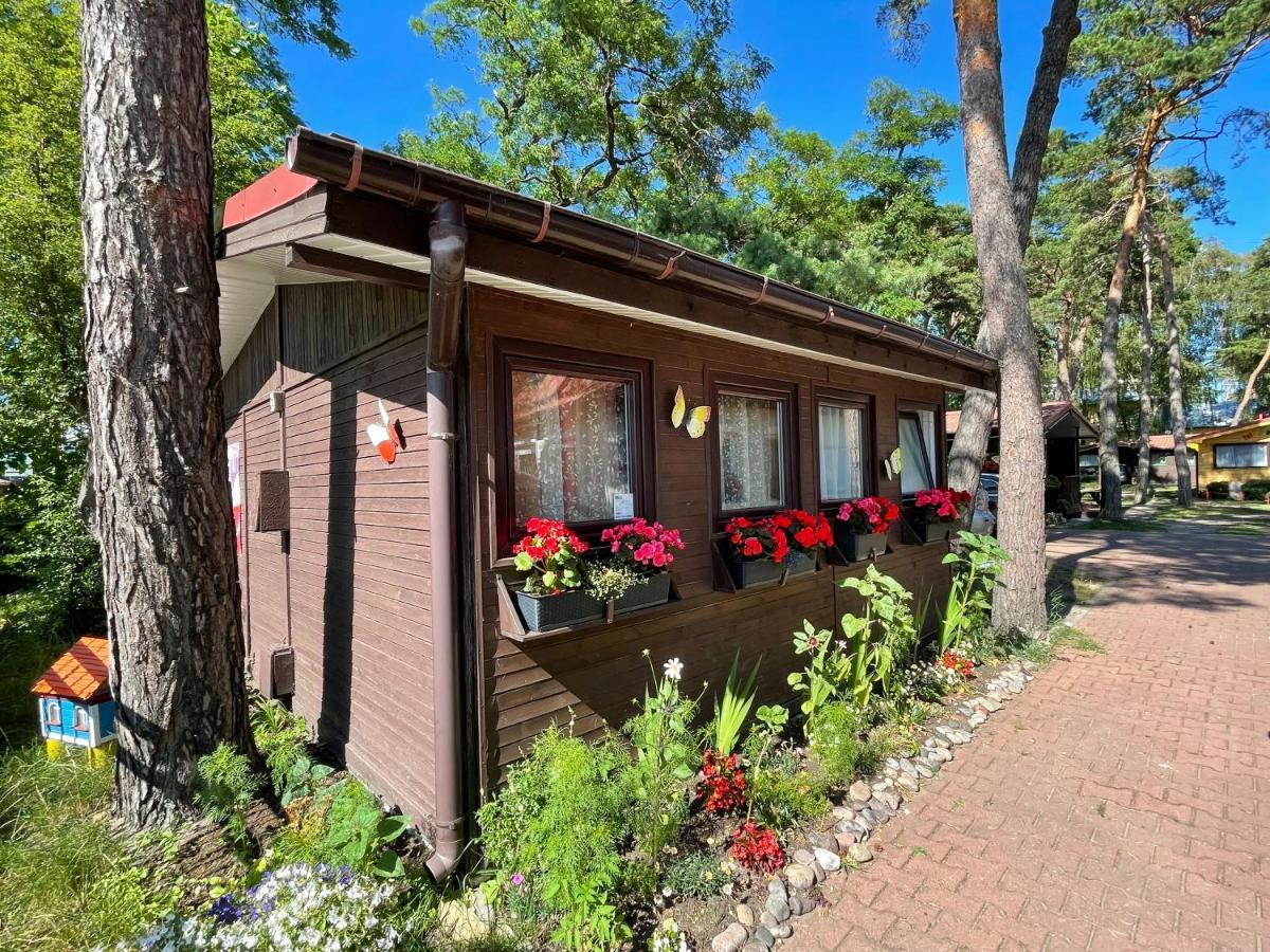 Osrodek Polaris Villa Dziwnówek Exteriör bild
