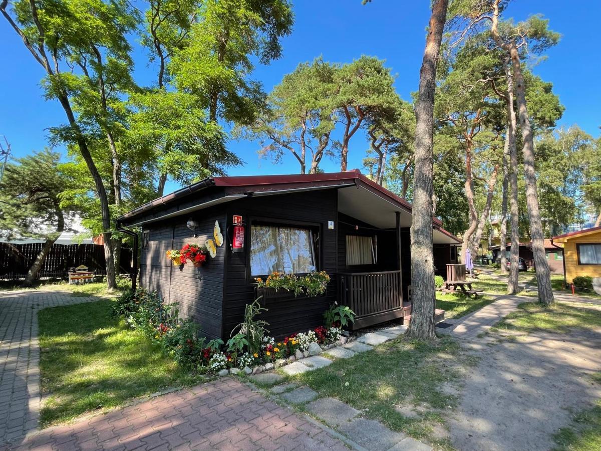 Osrodek Polaris Villa Dziwnówek Exteriör bild